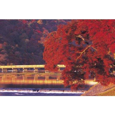 YANOMAN Puzzle 1500 pi&egrave;ces - Sato du Japon : Couleurs d'automne 