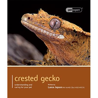 Crested Gecko - Pet Expert: Understanding and Caring for Your Pet