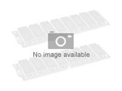 Acer - DDR3 - module - 2 Go - DIMM 240 broches - 1333 MHz / PC3-10600 - mémoire sans tampon - ECC - pour Acer AB460 F1, AR160 F1, AR180 F1, AR385 F1, AR585 F1, AT115 F1, AT310 F1, AW2000