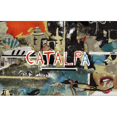 Catalpa