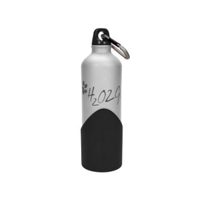 Kapimex h2o2go gourde argenté 750 ml