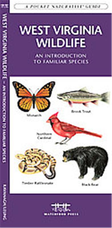 West Virginia Wildlife, A   pocket naturalist guide