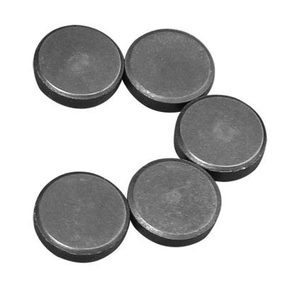 Aimant - Ø 20 x 5 mm - 5 pièces