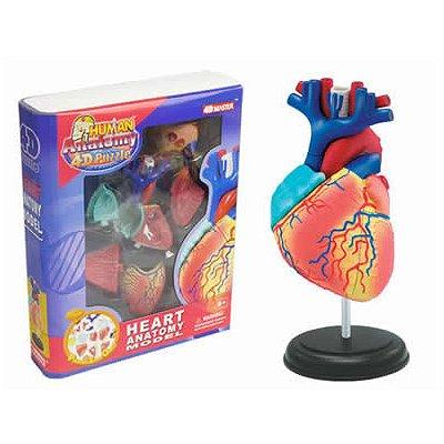 Anatomie - Puzzle 4D Science : Le Coeur
