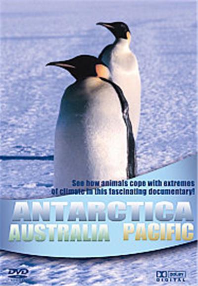 Wildlife - Antartica, Australia, Pacific