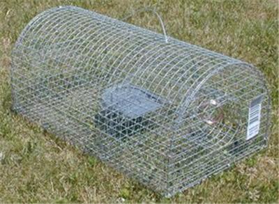 Masy nasse a rats l40x23x18cm