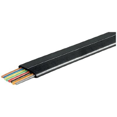 Wentronic Câble téléphonique plat 8 conducteurs Bobine de 100 m Noir (Import Allemagne)