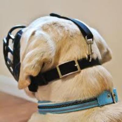 Muselière Baskerville Ultra Muzzle T2