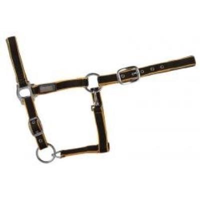 United sportproducts germany usg 3537 licol pour demi-sang avec boucles argentées (noir orange)
