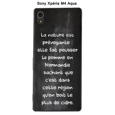 Coque Sony Xpéria M4 Aqua - Citation tableau-19