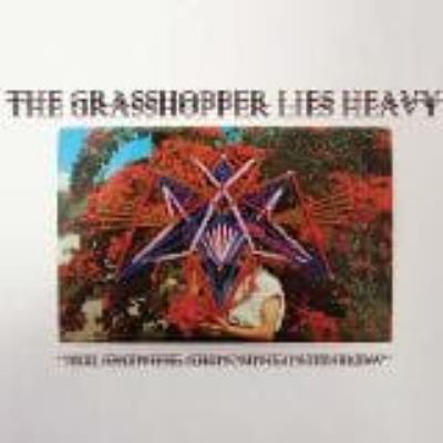 All Sadness, Grinning Into Flow - Grasshoppers Lies Heavy