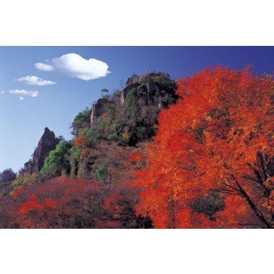 YANOMAN Puzzle 1500 pi&egrave;ces - Japon : Les couleurs de l'automne 