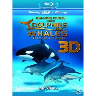 Dolphins and Whales 3D - Tribes Of The Ocean