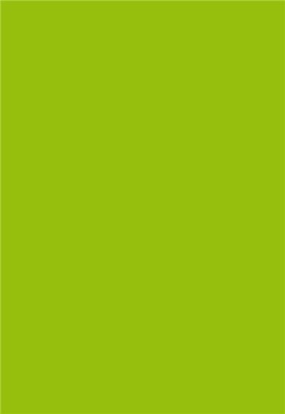 Etui de 50 feuilles Pollen A4 Vert Menthe 160g