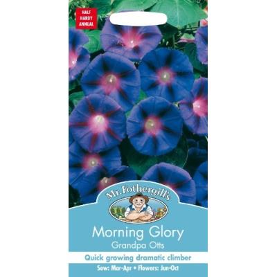 Mr. Fothergill'S 10175 Mélange 30 Graines De Volubilis Pourpre