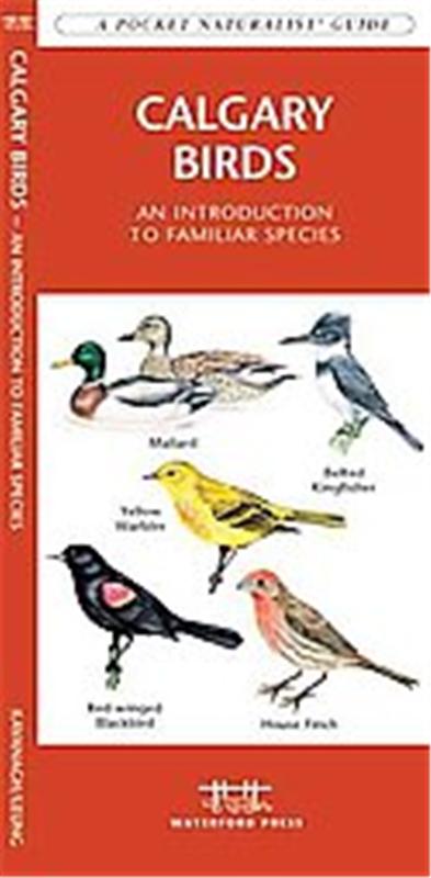 Calgary Birds, A   pocket naturalist guide