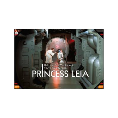Poster En Verre Star Wars Leia Help Me 60 x 90cm