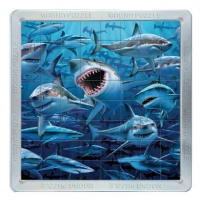 Puzzle 64 Pièces : Pièces Magnétiques - Requins, Piatnik