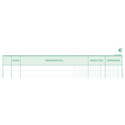 Manifold Exacompta 50 feuillets Recettes Dépenses 29,7x21cm Dupli