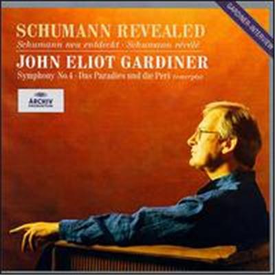 Schumann Revealed