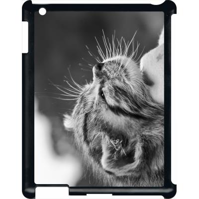 Coque pour apple ipad 3 chat zebre