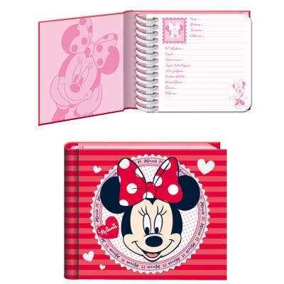 Carnet des copines Minnie