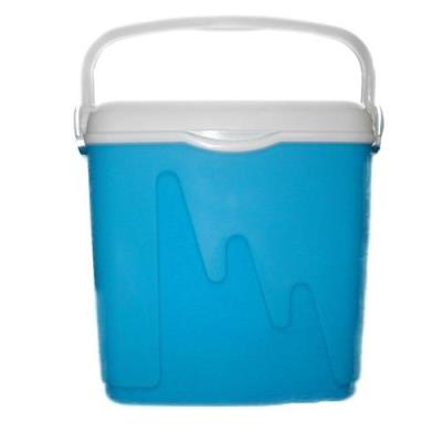 Glacière Curver 22 L