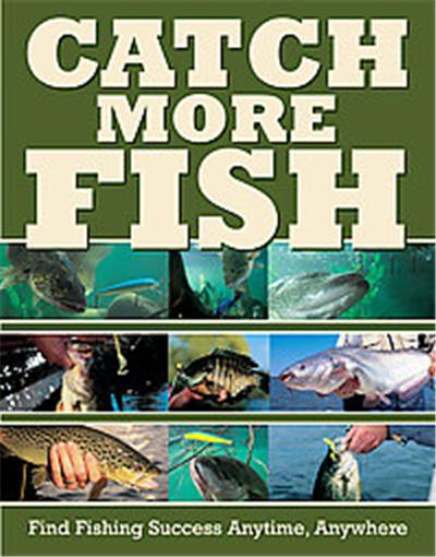 Catch More Fish