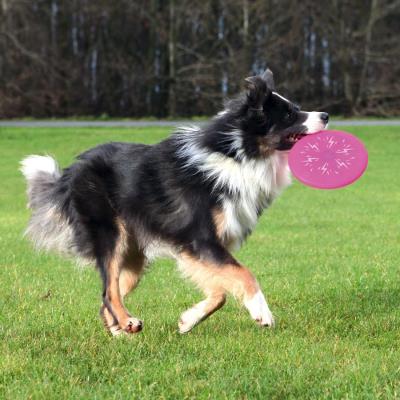 Trixie Flash Disque en silicone pour Chien
