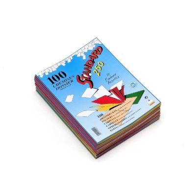 Rainex standard 250 100 chemises 24 x 32 cm assorties 402as