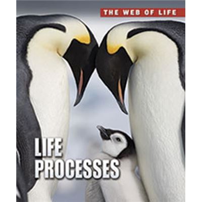 Life Processes (The Web Of Life) (Paperback)
