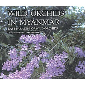 Wild-Orchids-in-Myanmar.jpg