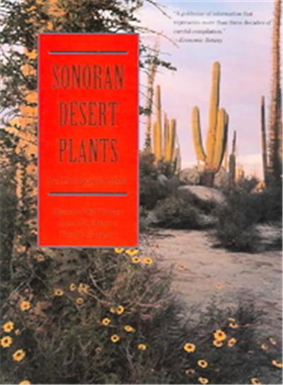 Sonoran Desert Plants