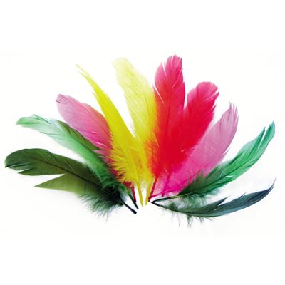 Plumes nageoire d'oie multicolores 10g 15cm - graine créative