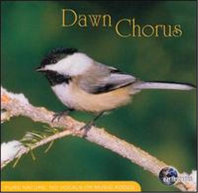 Dawn Chorus