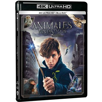 Les Animaux fantastiques (Blu Ray 4K Ultra HD) / Fantastic Beasts And Where To Find Them