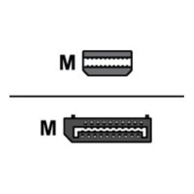 Lenovo Adaptateur DisplayPort - 17.6 cm
