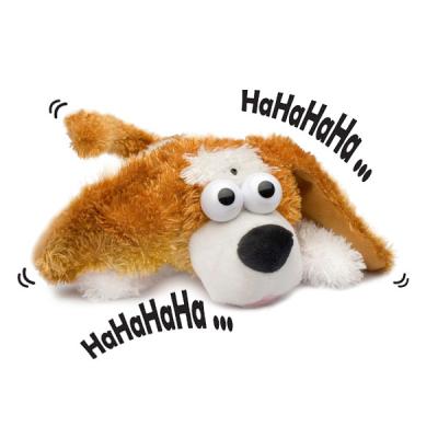 Chien hilarant rieur , cadeau insolite, et fun