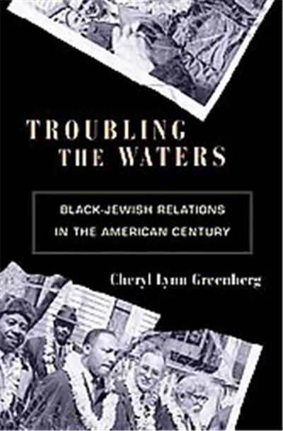 Troubling the Waters, Politics and Society in Twentieth Century America
