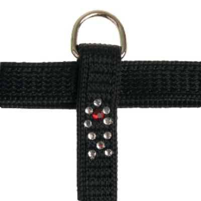 Meilleurs prix pour Harnais Night Fish 10Mm Noir Pour Chat