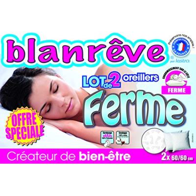 Blanrêve loferhp066060 set de 2 oreillers ferme polyester blanc 60 x 60 x 0,1 cm