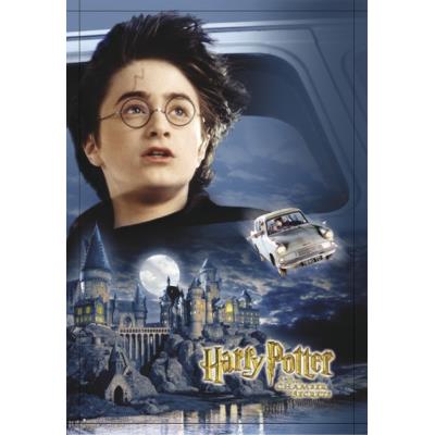 Poster Harry Potter et le cham + un poster surprise en cadeau!