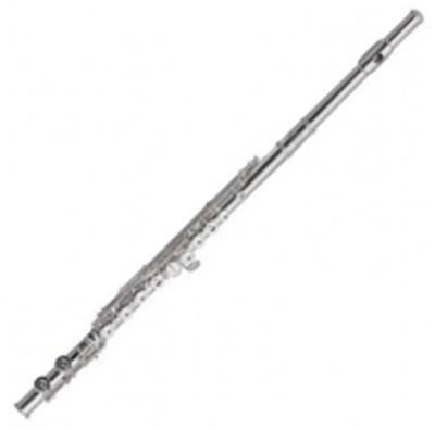 Roy Benson Pro Series Flûte traversière FL-602RI