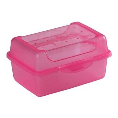 Okt 2053887 click-boîte plastique rosé transparent taille micro 10691550000