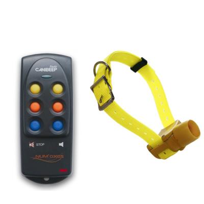 Collier de repérage canibeep radio pro