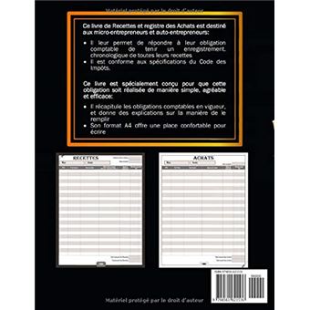 Livre De Compte Recette Dépense : Carnet De Tenue De Compte Conforme aux  Obligations Comptables des Micro BIC - Micro BNC - 106 pages Format A4 -  broché - NLFBP Editions, Livre