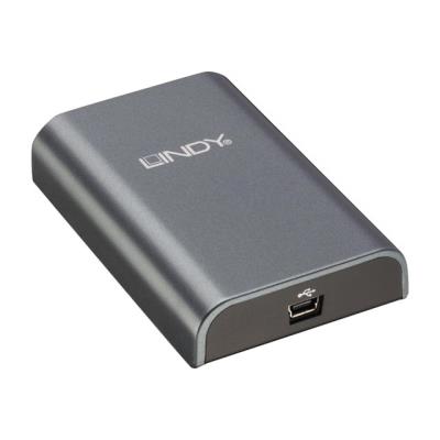 Lindy USB 2.0 DVI Adapter Pro externe video-adapter