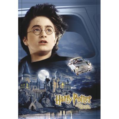 Poster Harry Potter et le cham + un joli emballage cadeau