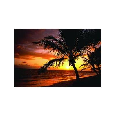 Fellowes Palm Moods - Tapis de souris
