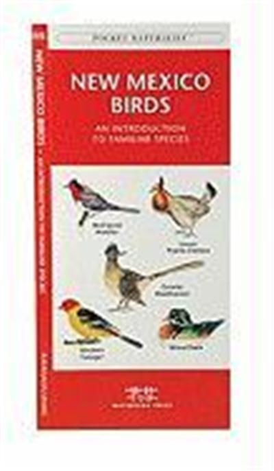 New Mexico Birds: An Introduction to Familiar Species